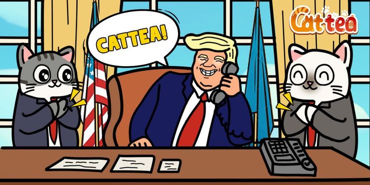 Cattea每日套餐 2025年一月20日至24日：Cattea Airdrop是什么？