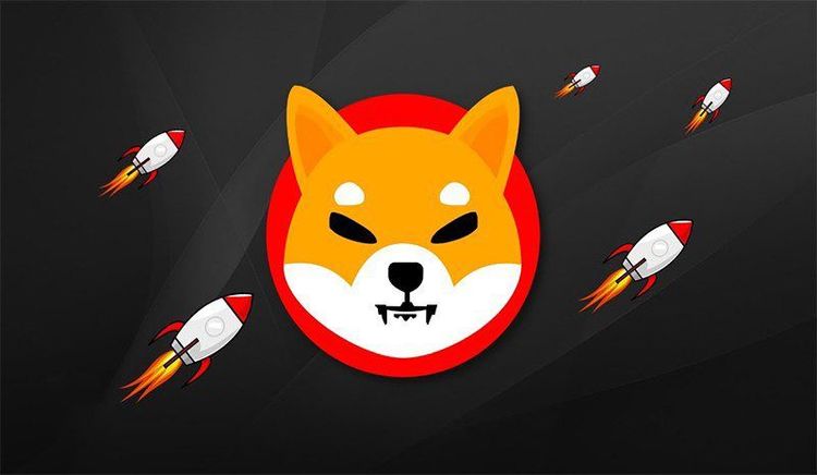柴犬硬币 2025-2030 年价格预测：SHIB 能否克服市场挑战？