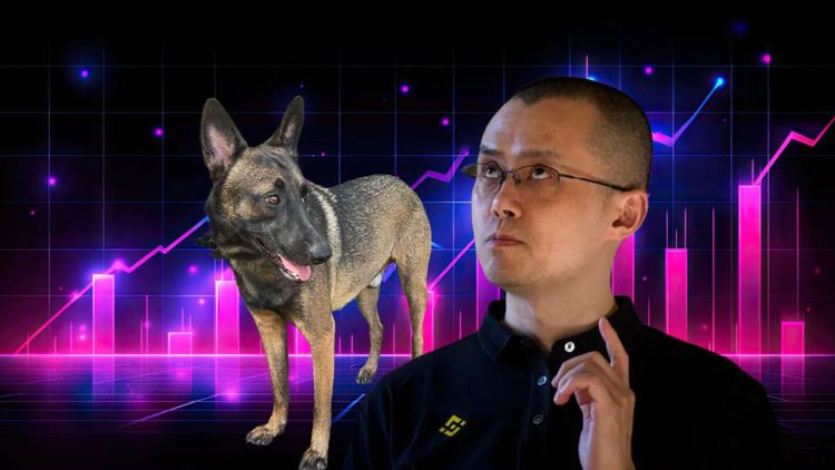 西兰花硬币是否会成为下一个 100 倍纪念币？ CZ Dog Meme Coin 解读